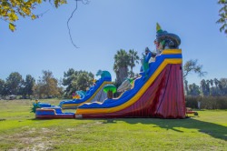 IMG 2560 1768340072 28FT Ape Escape Single Lane Water Slide (WET OR DRY)