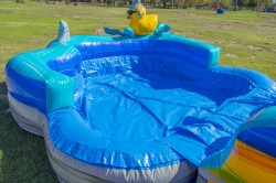 25FT Duckie Squad Single Lane Water Slide (XL POOL) (WET OR DRY) IMG 2607 1768513837 25FT Duckie Squad Single Lane Water Slide (XL POOL) (WET OR DRY)